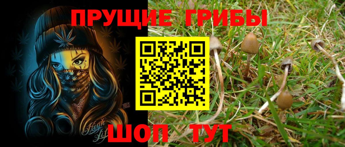 Псилоцибиновые грибы мицелий Бузулук